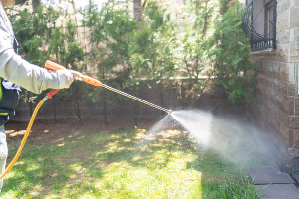 Best Bird Control  in Bourg, LA